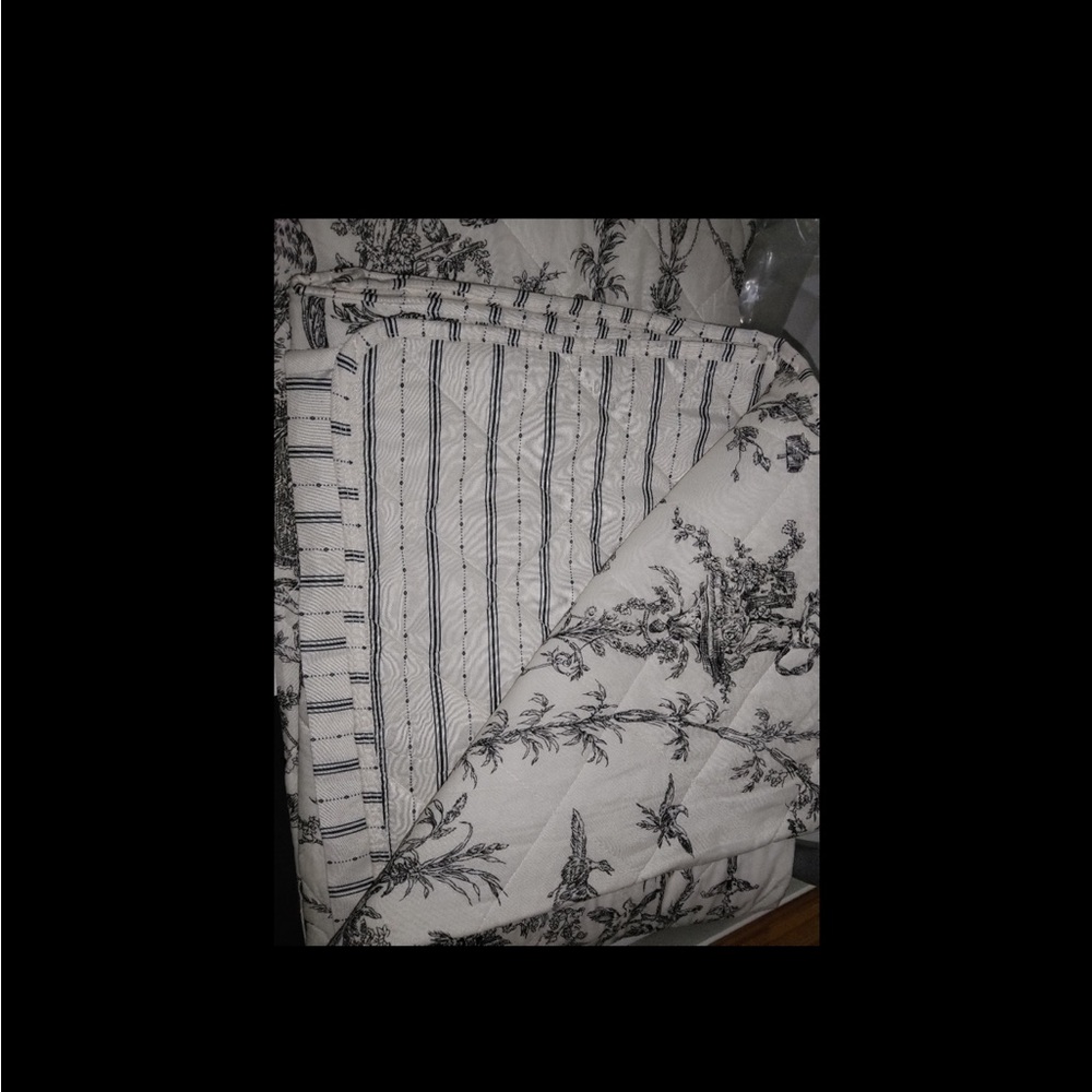 Classic Black and White Toile queen size Quilt - no shams - Picture 2 of 10